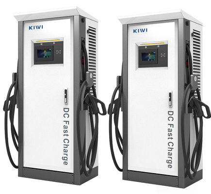 120kw সিসিএস1 সিসিএস2 কার চ্যাডেমো ইভি ডিসি র্যাপিড চার্জিং স্টেশন 50Hz±10Hz গ্রিড ফ্রিকোয়েন্সি সহ