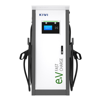 60kW 120kW 150kW ডিসি ইভি চার্জার বৈদ্যুতিক যানবাহন দ্রুত চার্জিং পিল সিসিএস বাণিজ্যিক ইভি গাড়ি চার্জিং স্টেশন